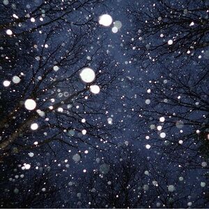 !! LIVE SHOW REMINDER !!